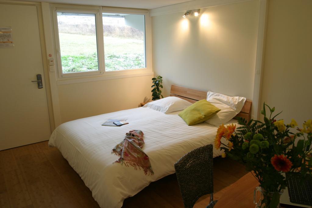 Hotel Pierre Blanche Chatillon-en-Michaille ห้อง รูปภาพ